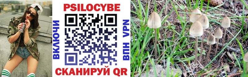 Купить где  Тарко-Сале  Галлюциногенные грибы прущие грибы 